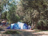 Camping Les Castors ***. Publié le 14/08/09. Calvi